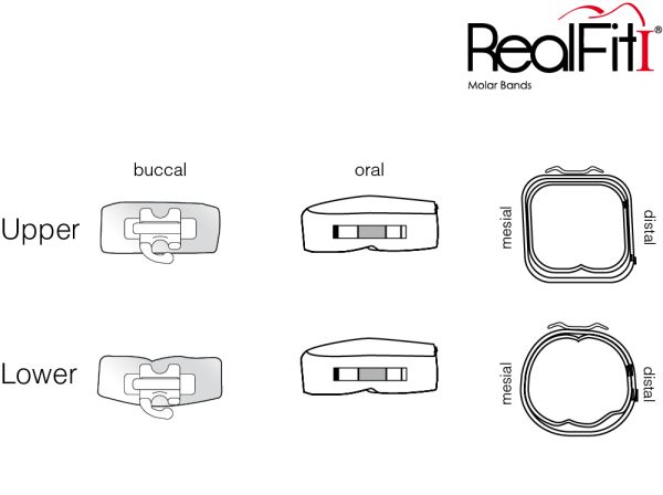 RealFit™ I - Bande molari, Kit introduttivi, Arcata inf., combin. singola (dente 47, 37)  Roth .018"